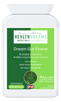 Dream Gut Friend
